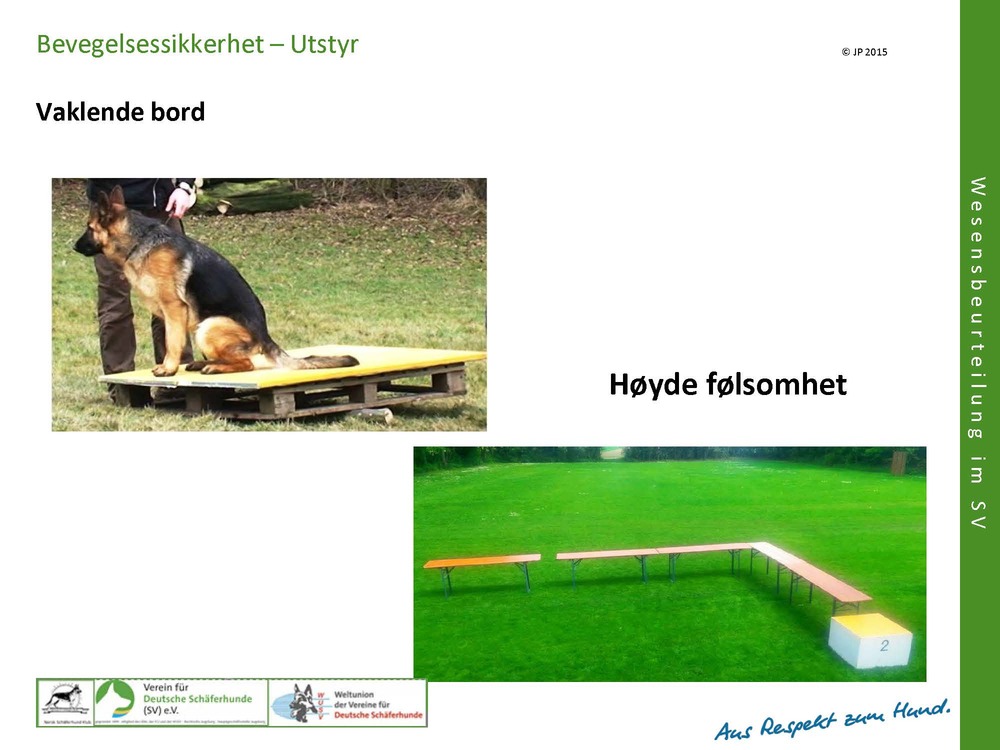 Forberedelser av test og nødvendig utstyr Vesenprøve 235319